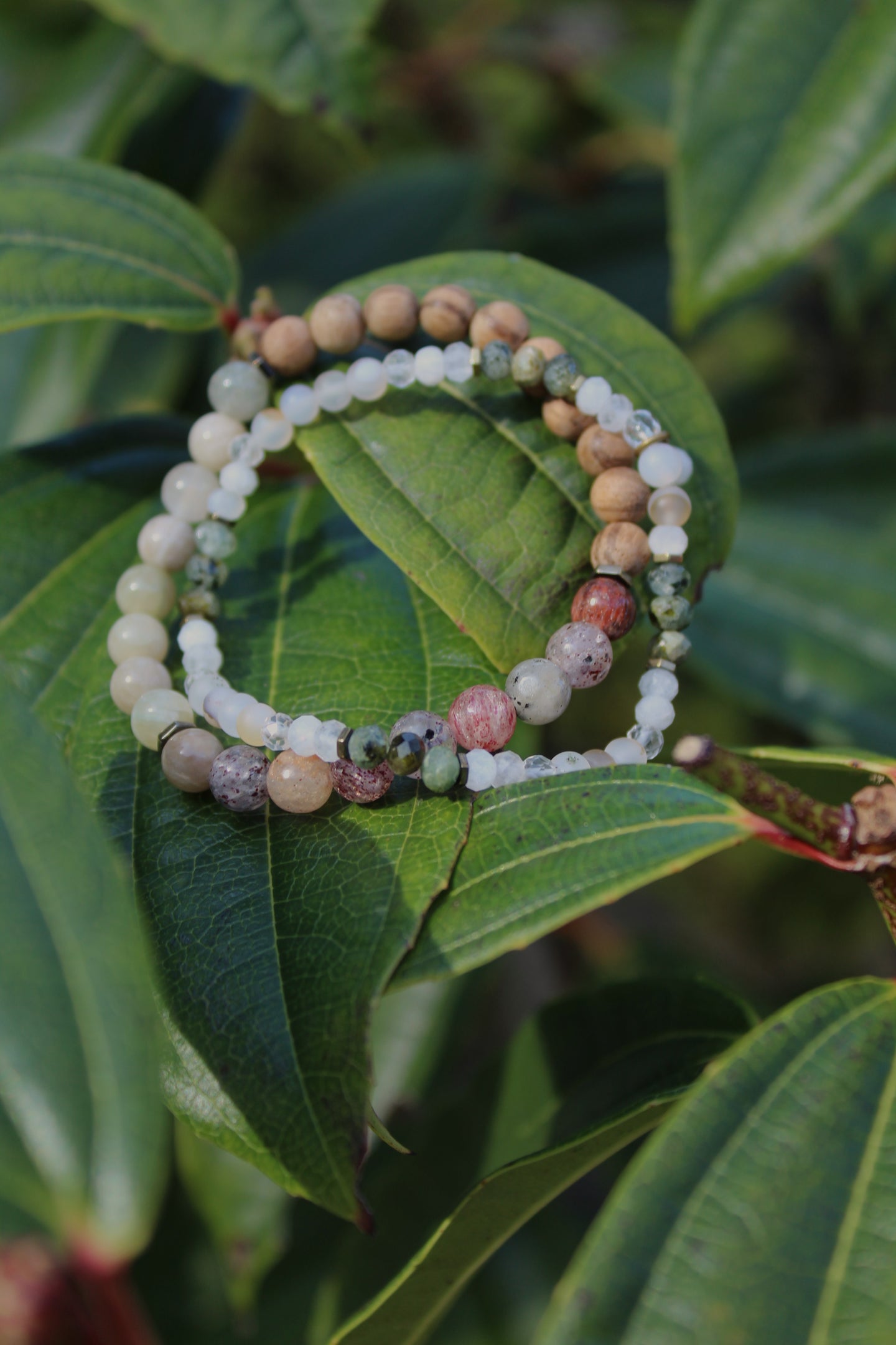 Spring Collection