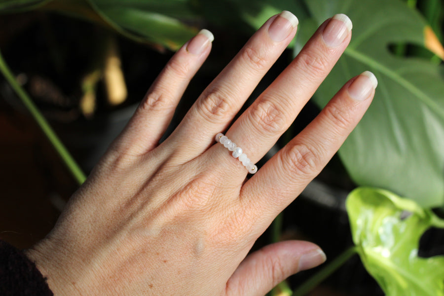 Lunar Coastal Ring