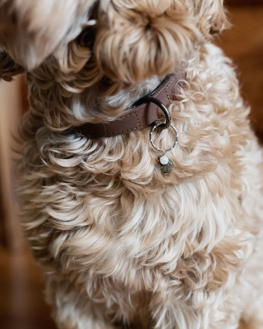 Pet Collar Charm - Labradorite, Moonstone, Hematite