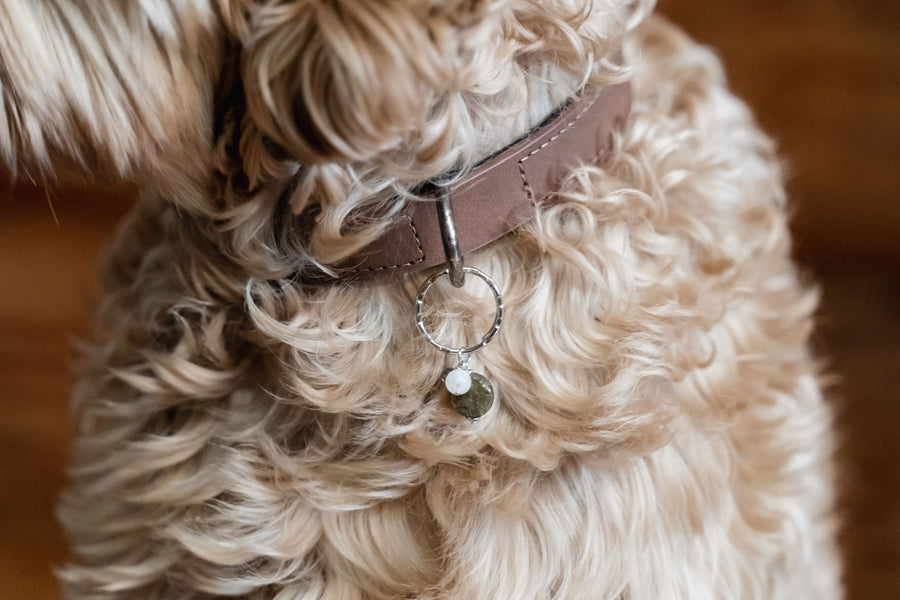 Pet Collar Charm - Labradorite, Moonstone, Hematite