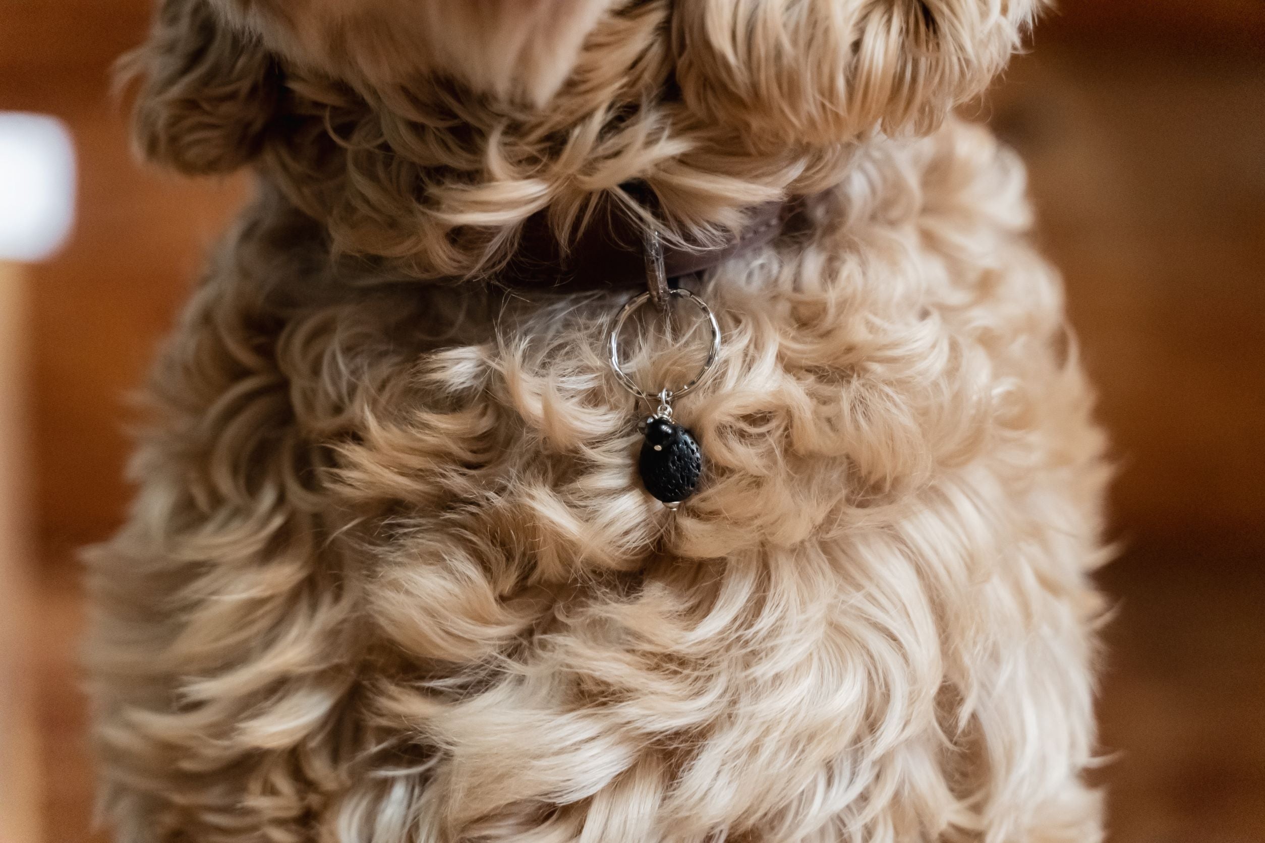 Pet Collar Charm Lava Stone, Black Onyx, Hematite Woven Stone Co.